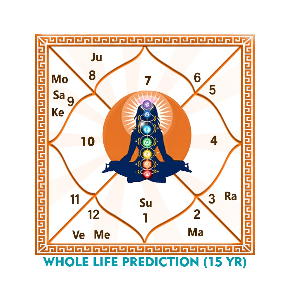 Whole Life Prediction